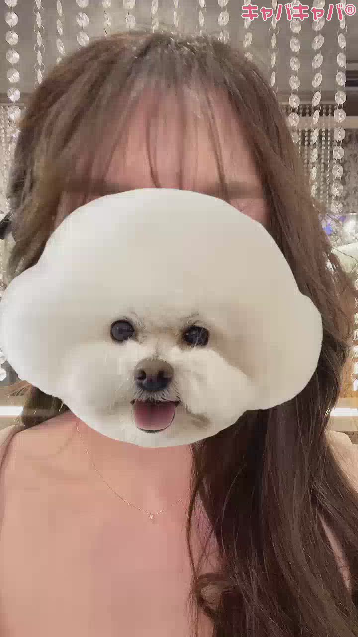 5月24日 20時23分のブログ