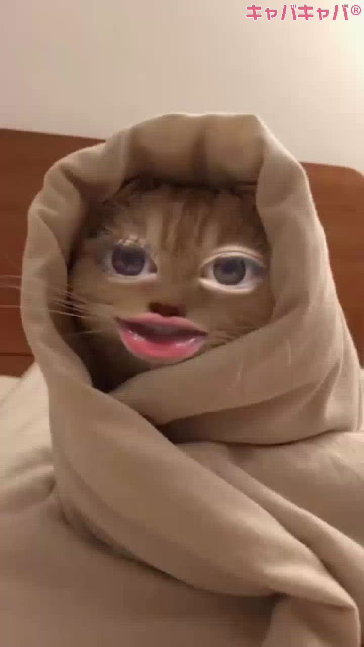 ガールズバー ビアンベニュー日記1557430