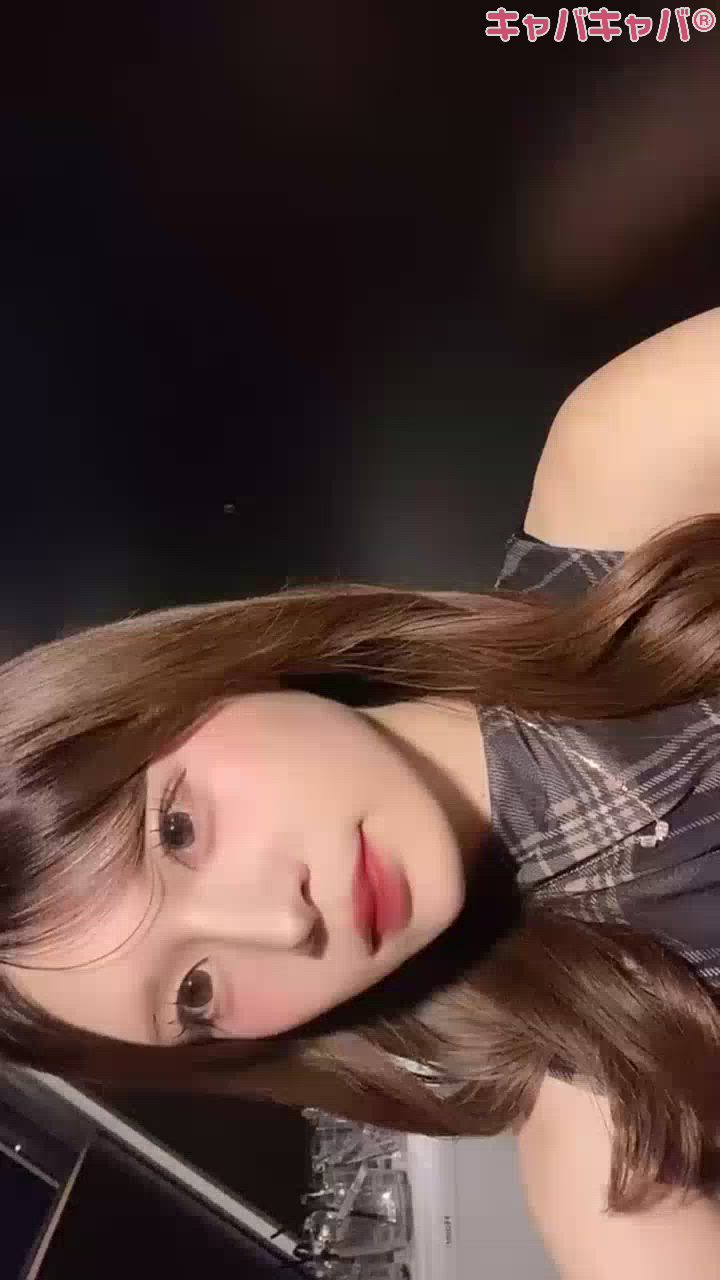 一条 葵