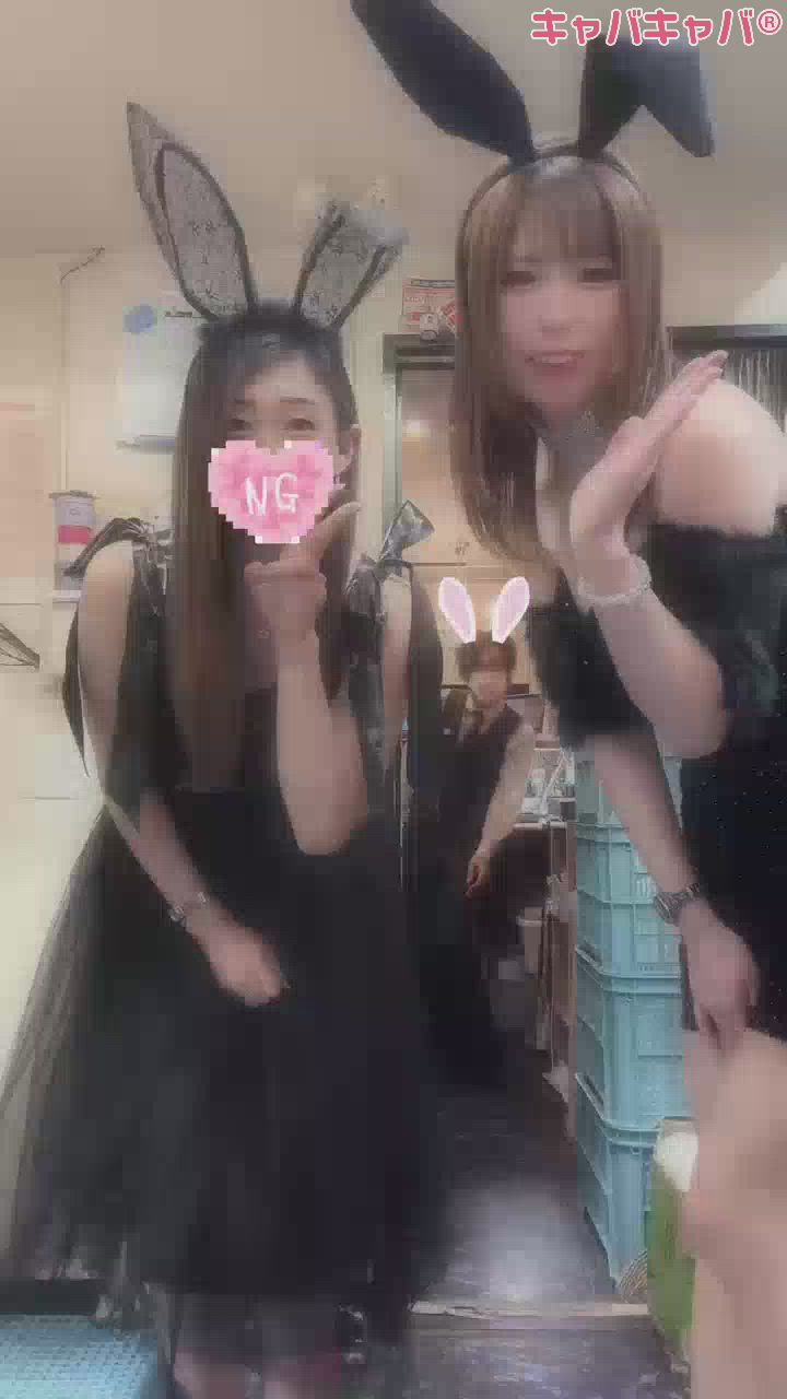 一条 葵