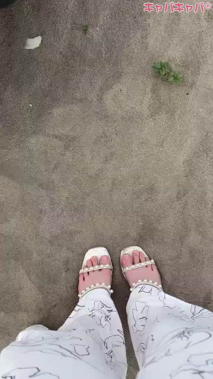 一条 葵