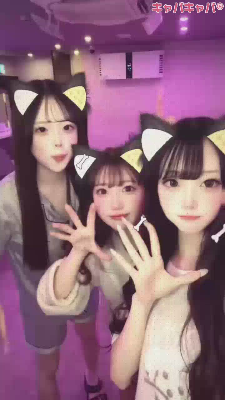 Girls Bar Philia日記1729979