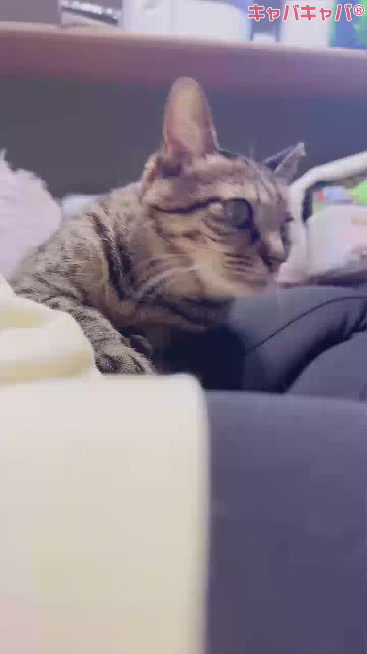 K-LOUNGE日記1588148