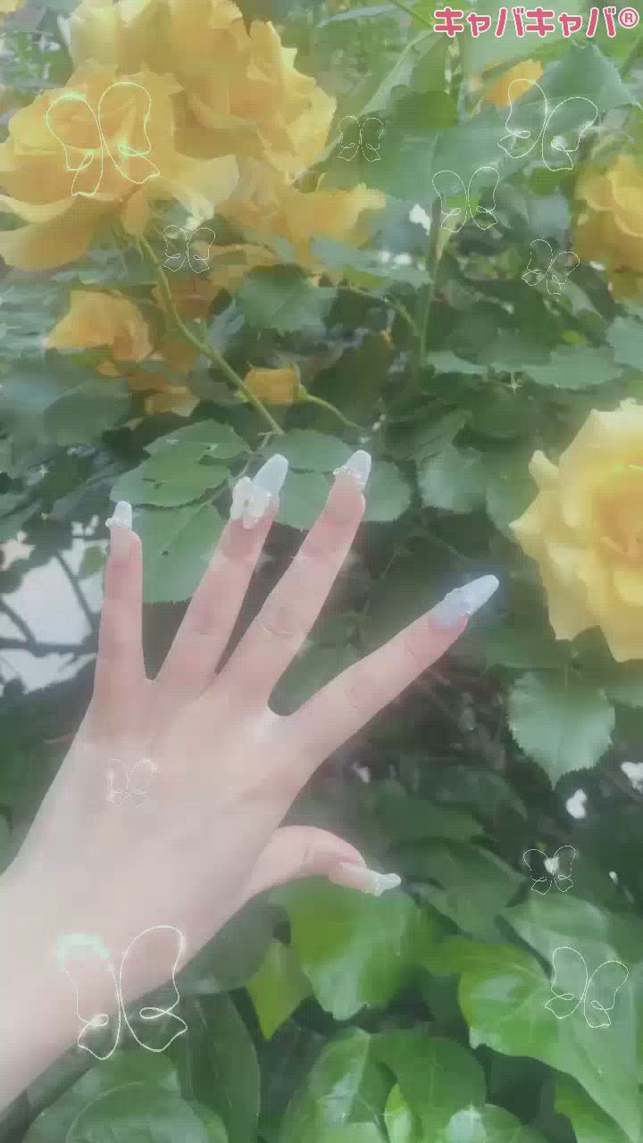 👸💍💎🤍