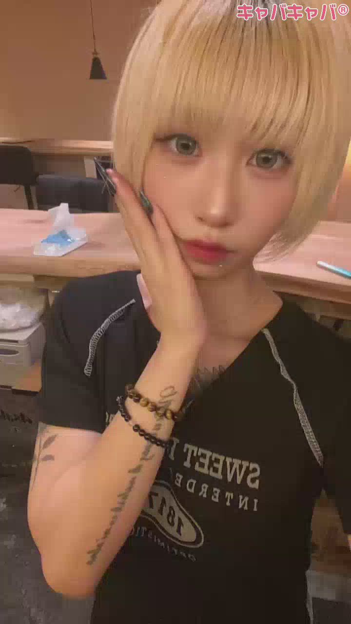 一条 葵