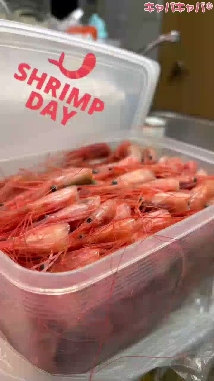 一条 葵