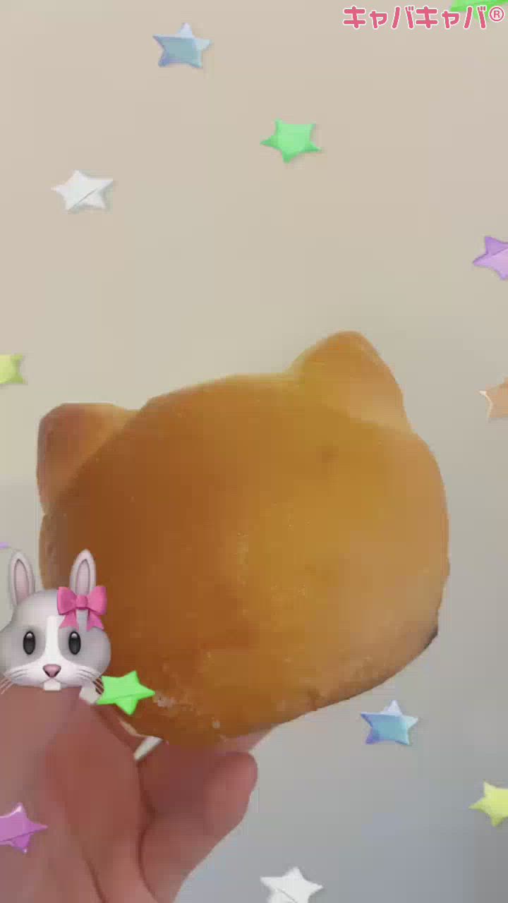 一条 葵
