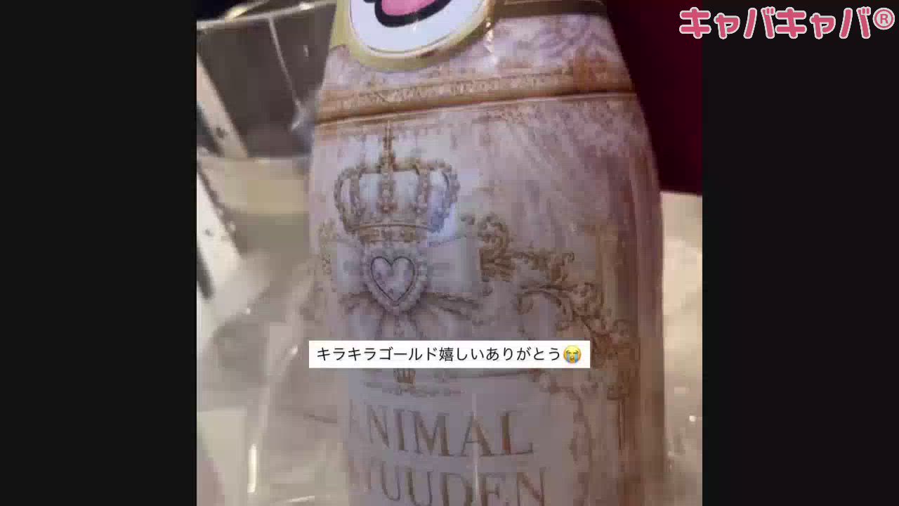 一条 葵