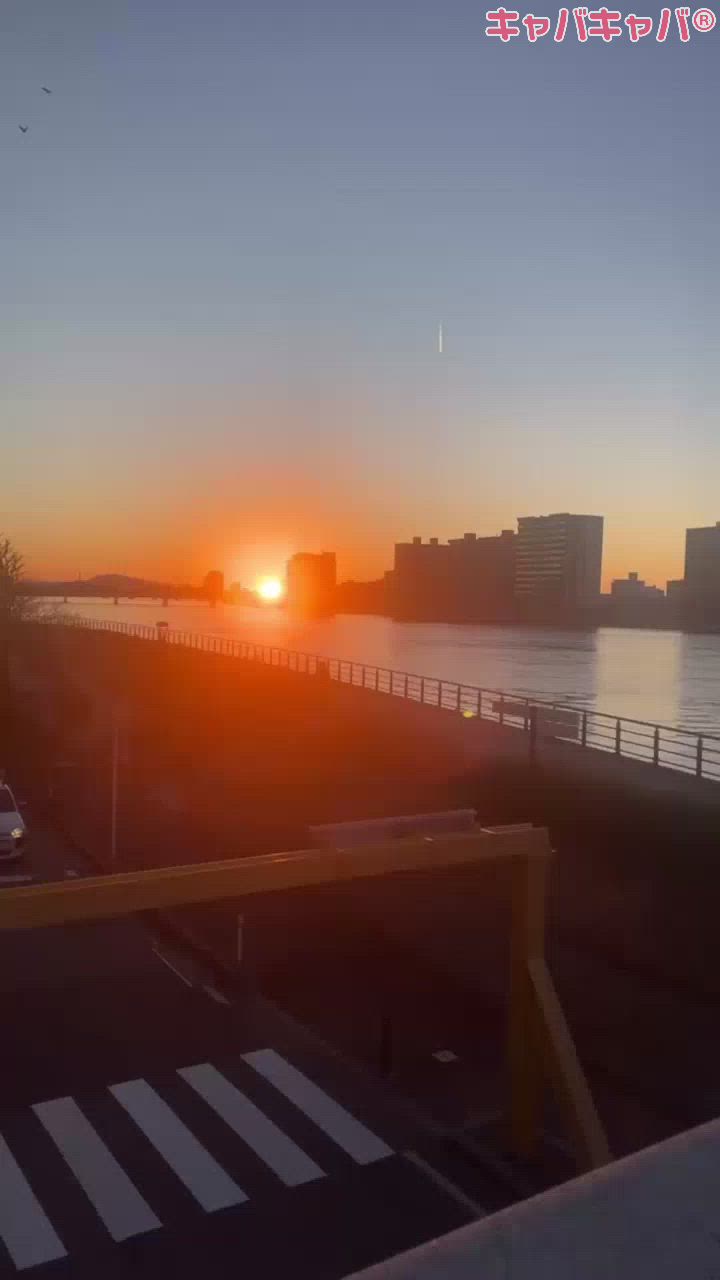 CLUB MIMOSA日記1554468