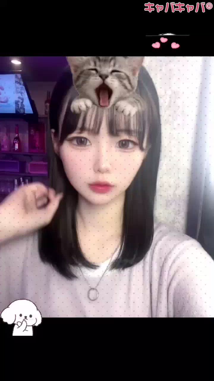 一条 葵