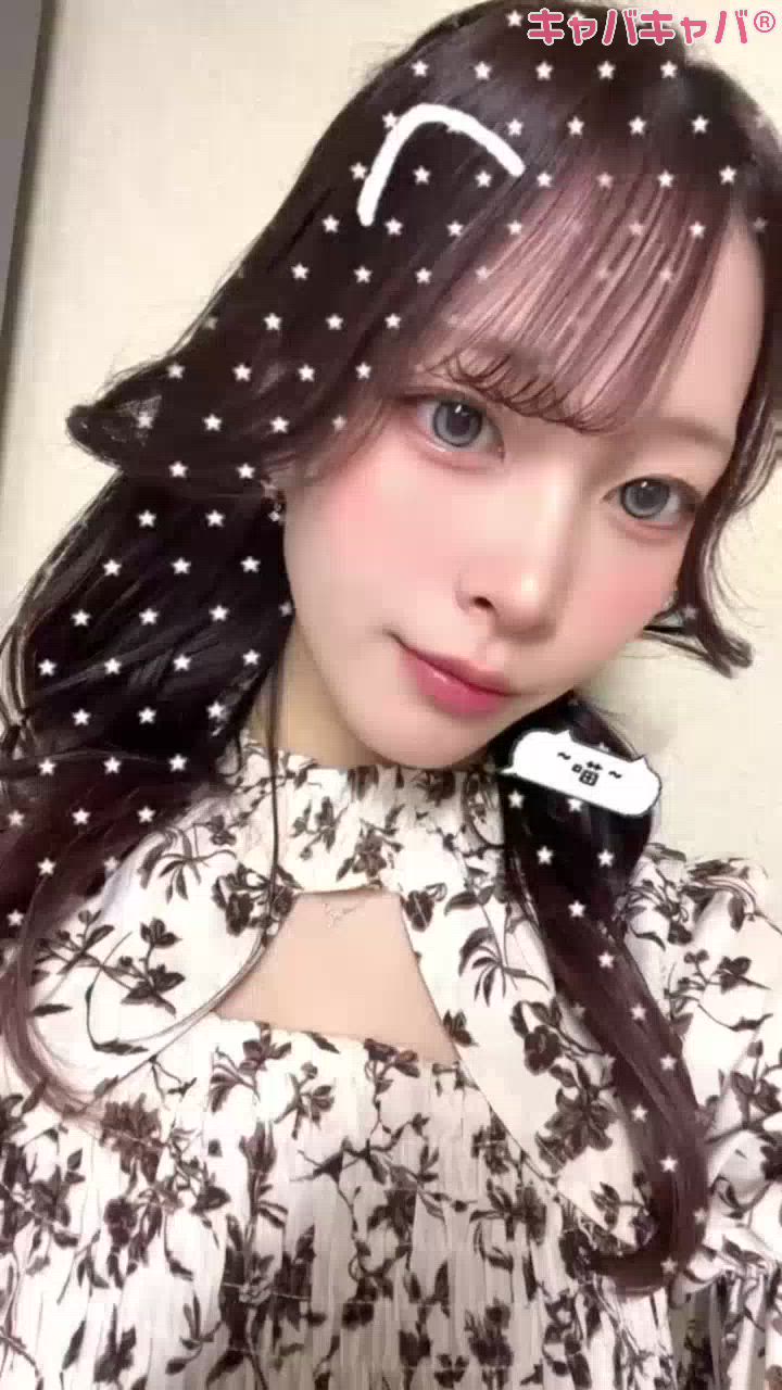 一条 葵