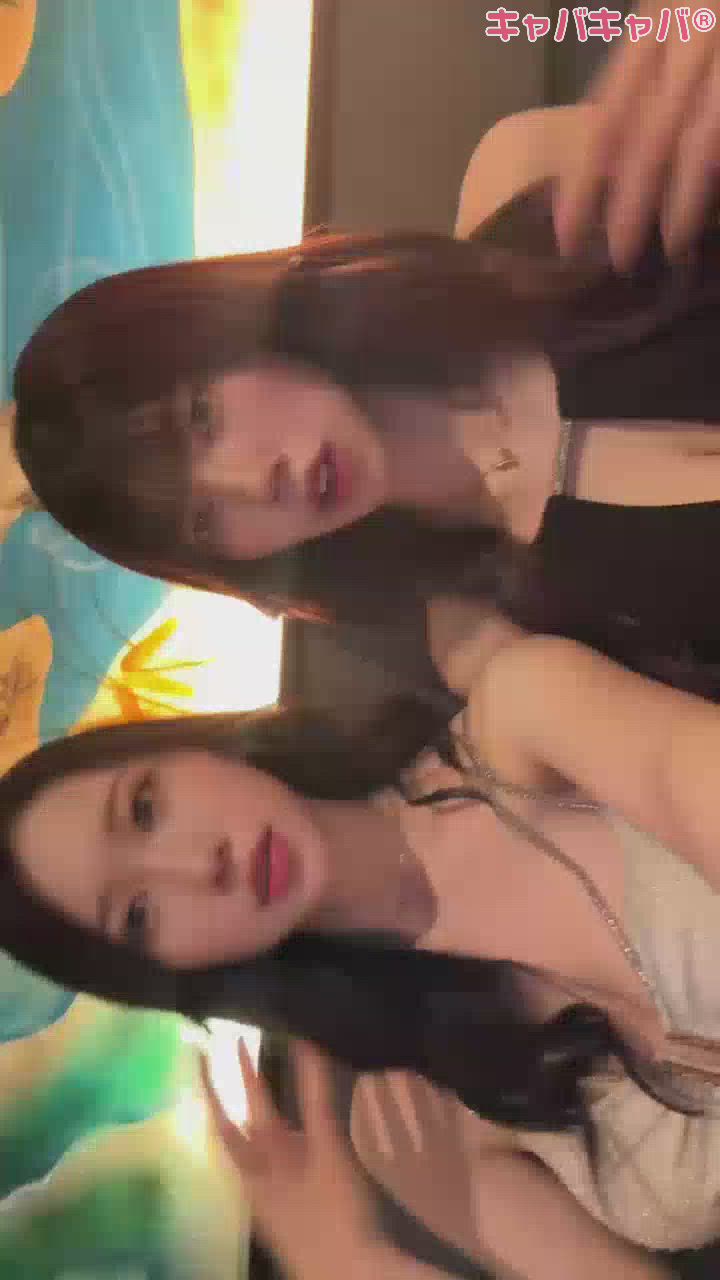 一条 葵
