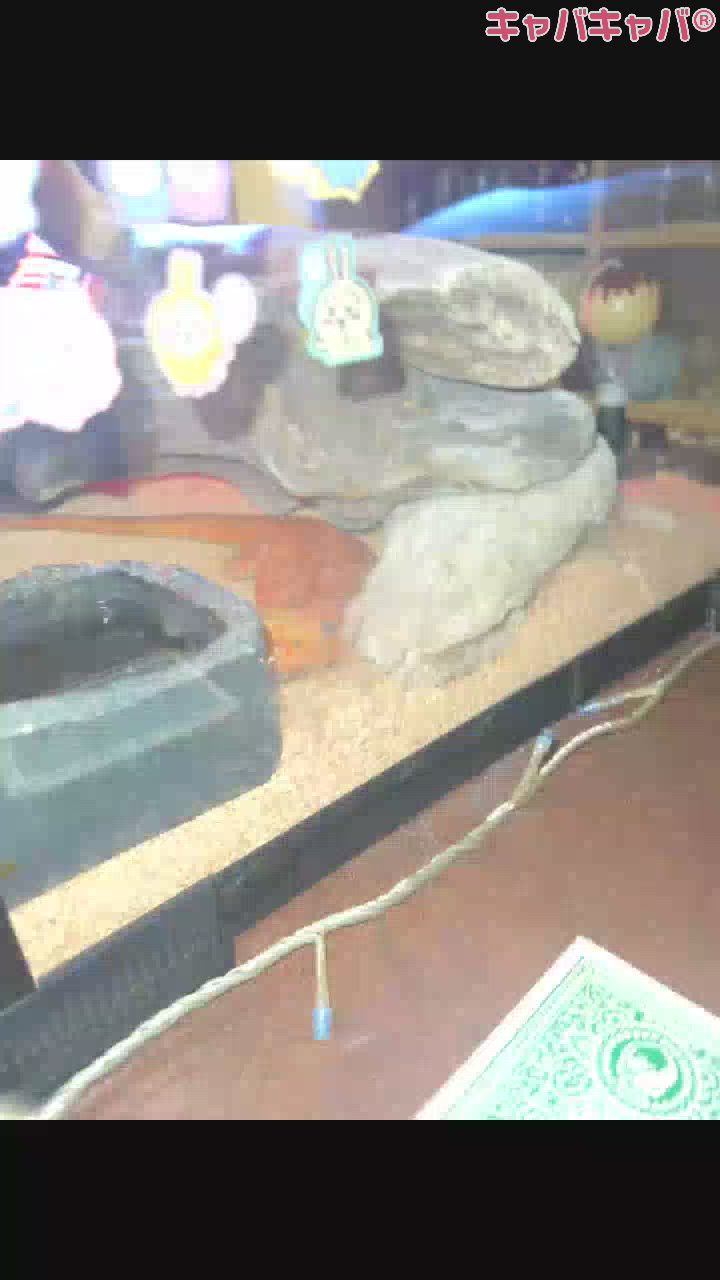 誘わないでください