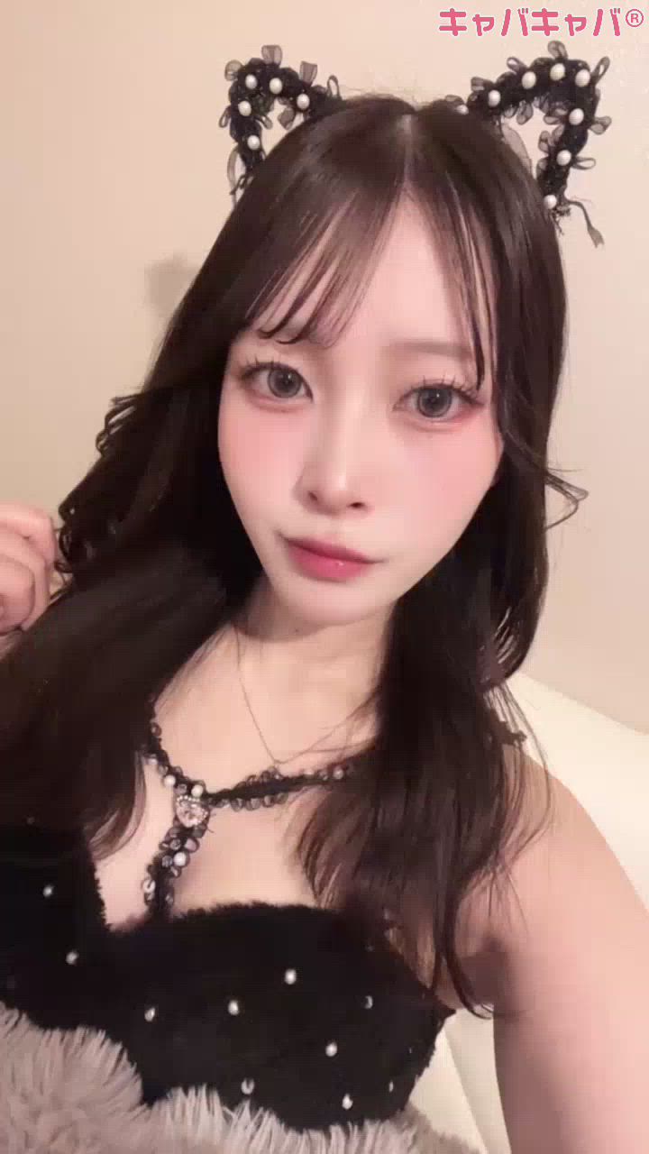 コンセプトカフェ あにまる宮殿日記1587147