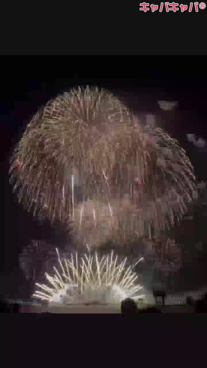 夏ですね
