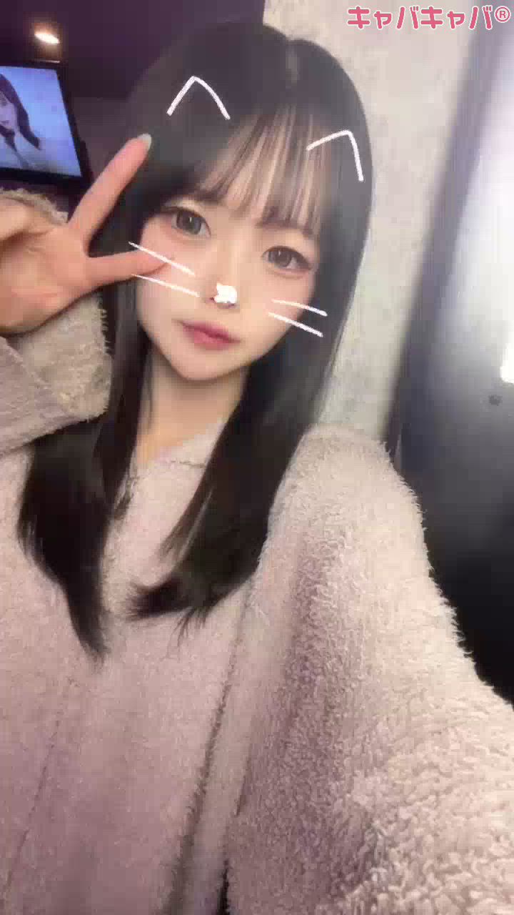 一条 葵