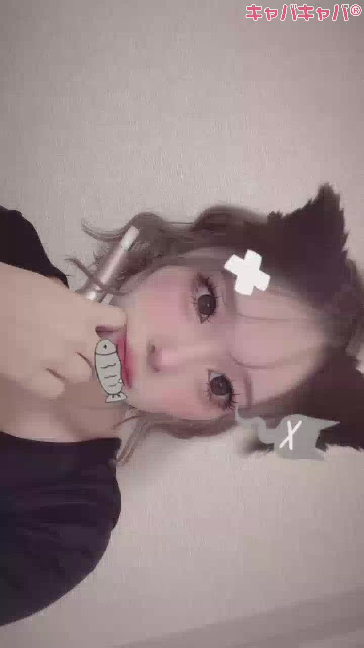 一条 葵