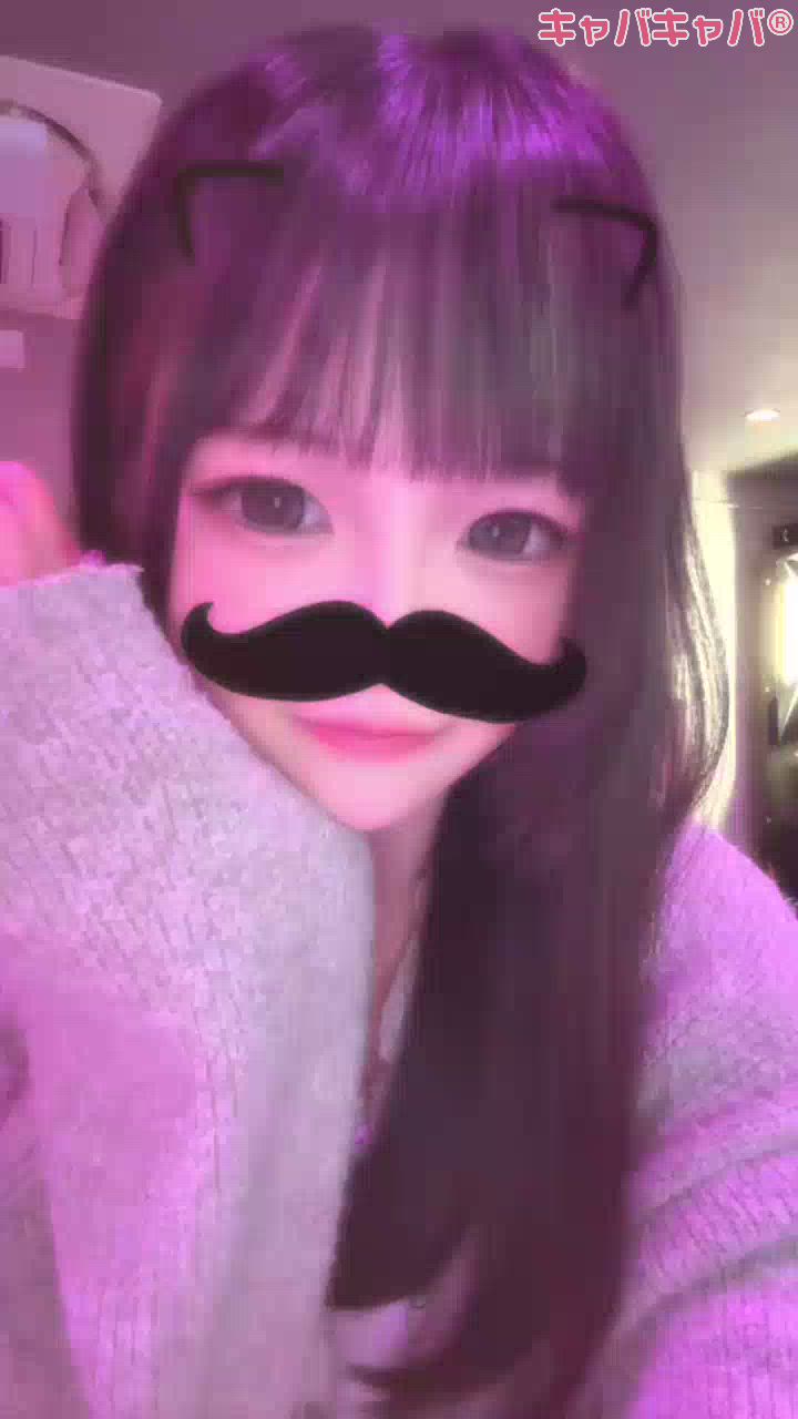一条 葵