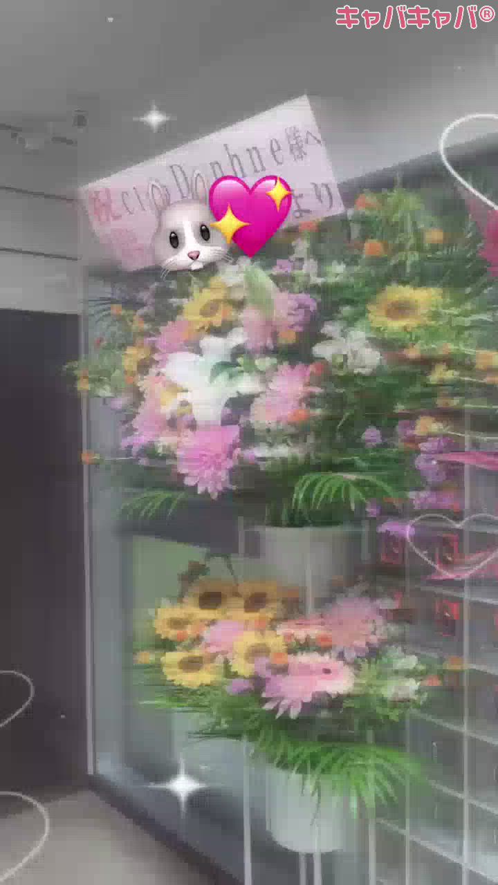 ダフネ日記1701834