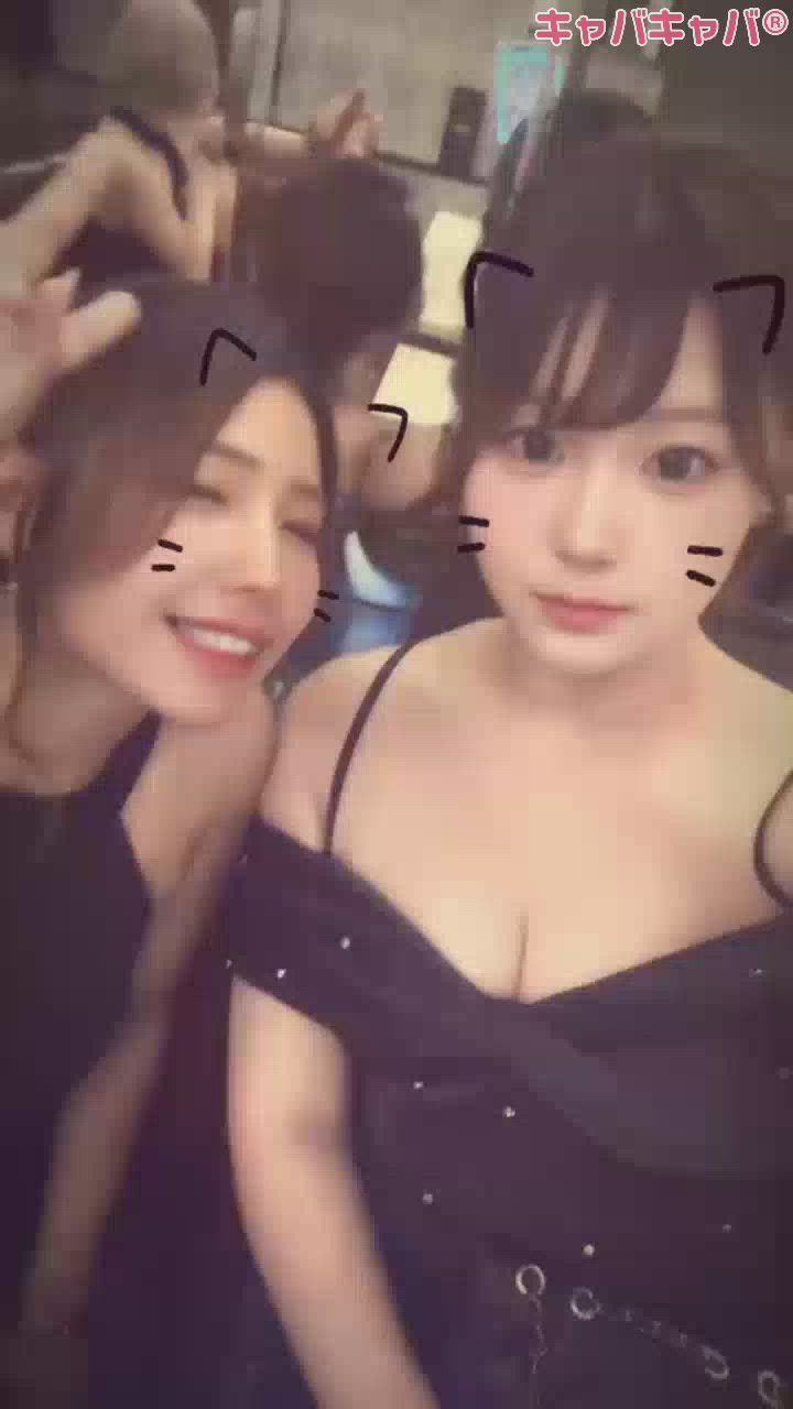 一条 葵