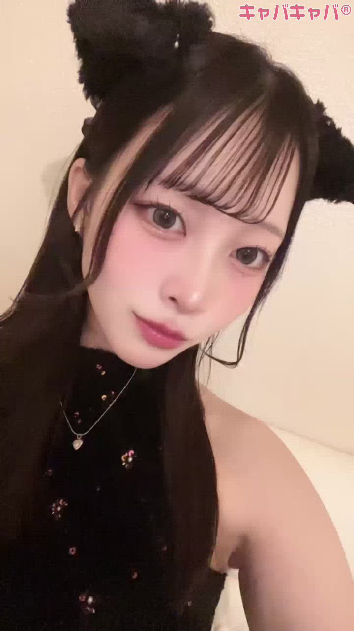 コンセプトカフェ あにまる宮殿日記1567523