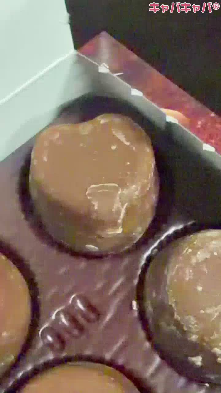 Persephone日記1555805