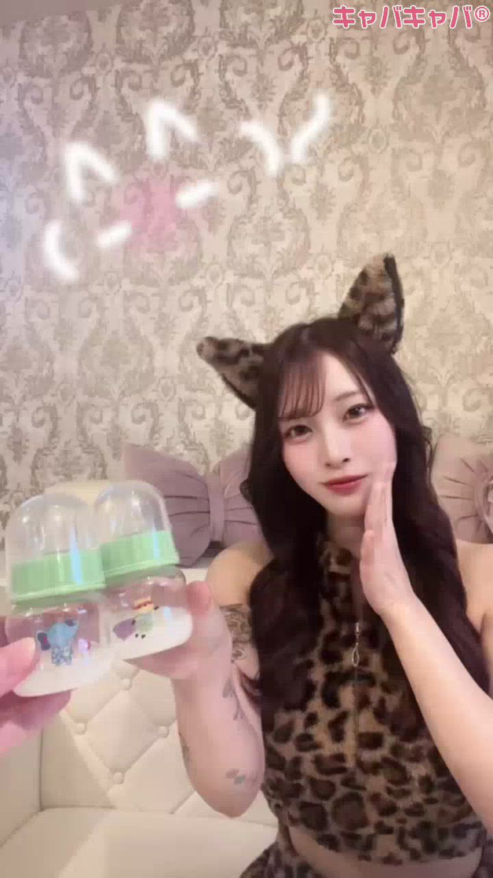 一条 葵