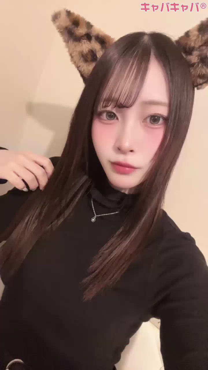 コンセプトカフェ あにまる宮殿日記1612947