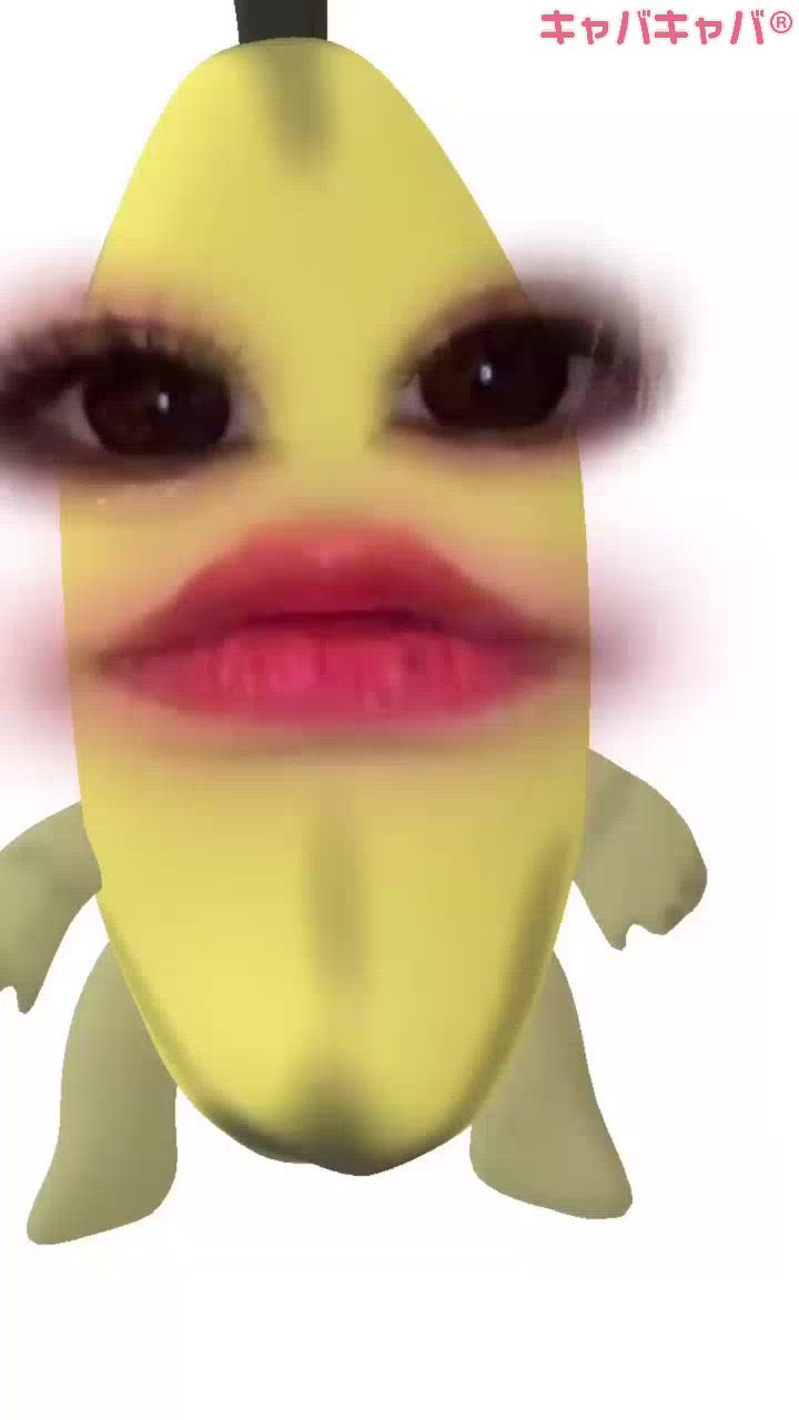 Persephone日記1556639