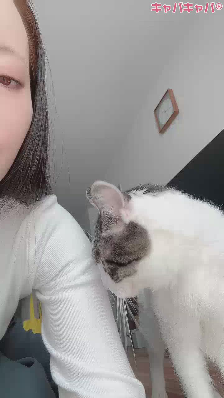 藤咲 あや