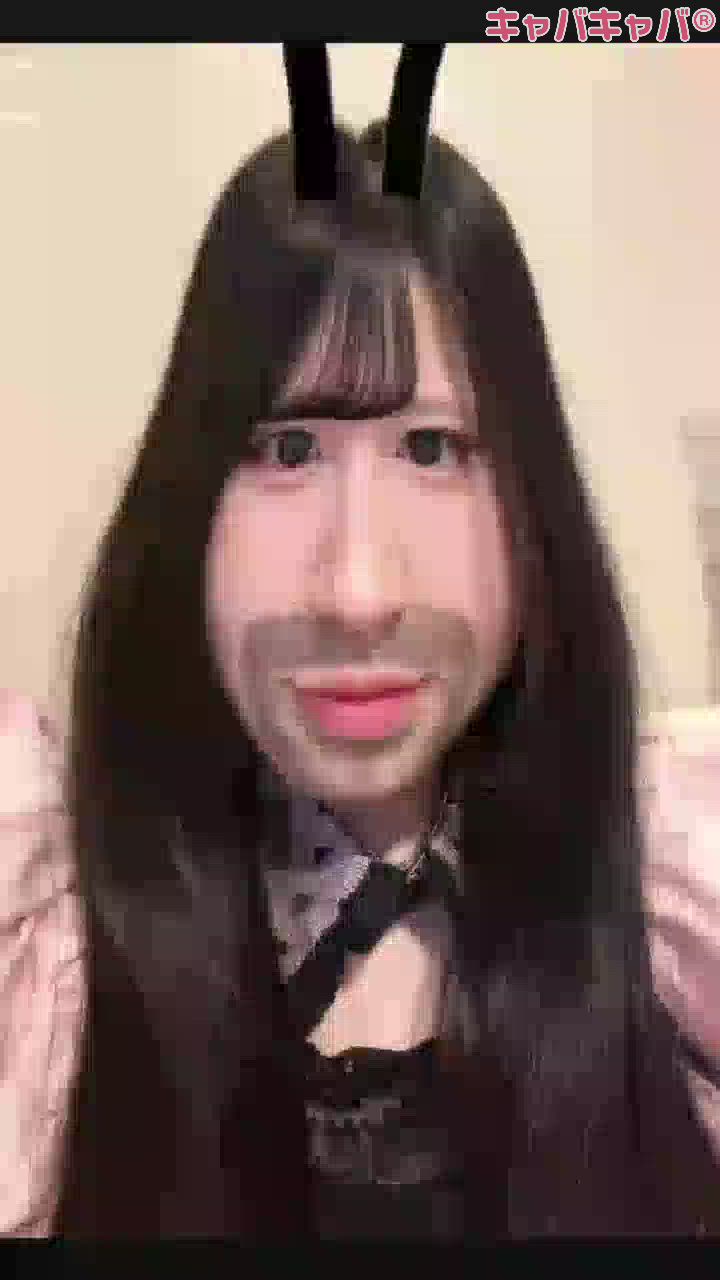 コンセプトカフェ あにまる宮殿日記1639752