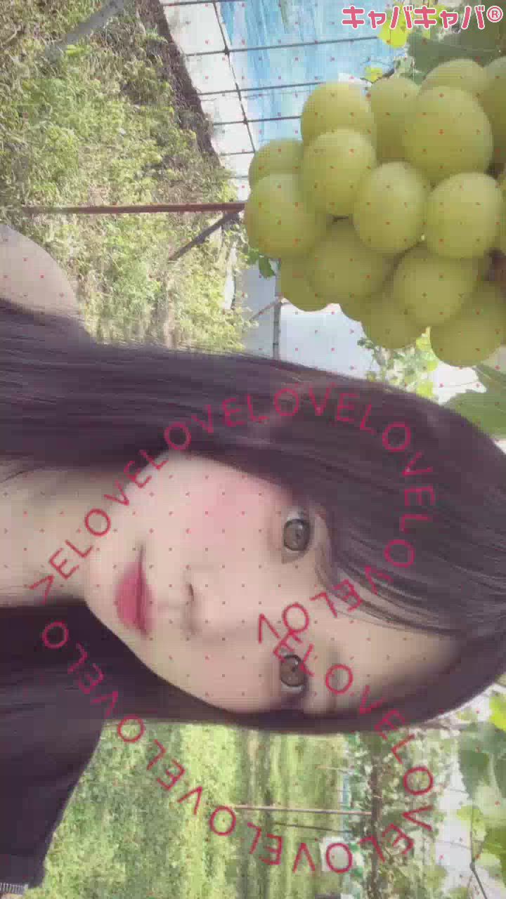 CLUB ALBATROSS日記1768379