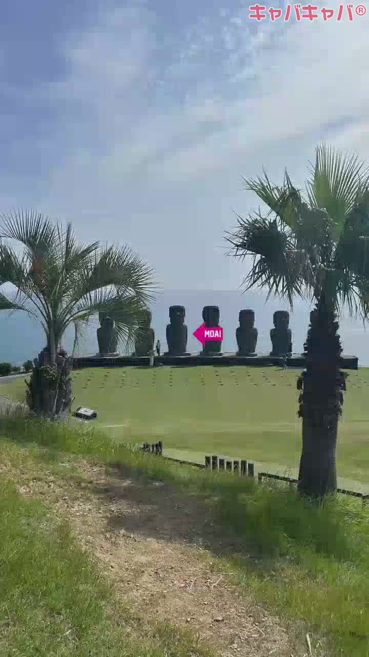 一条 葵