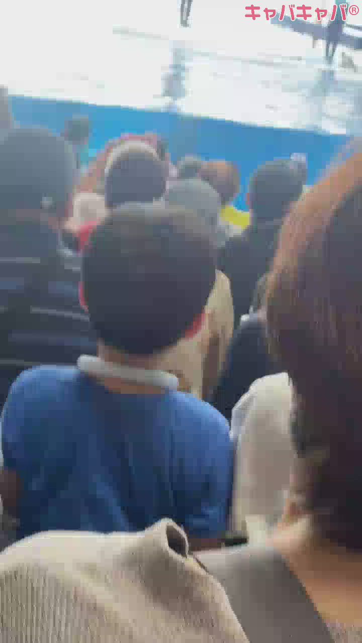 イルカショー🐬