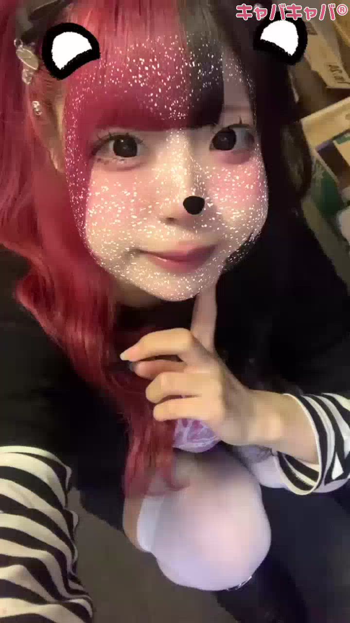 一条 葵