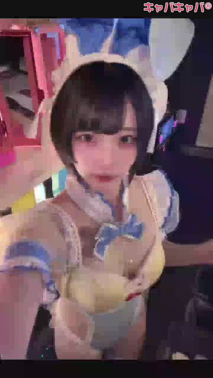 一条 葵
