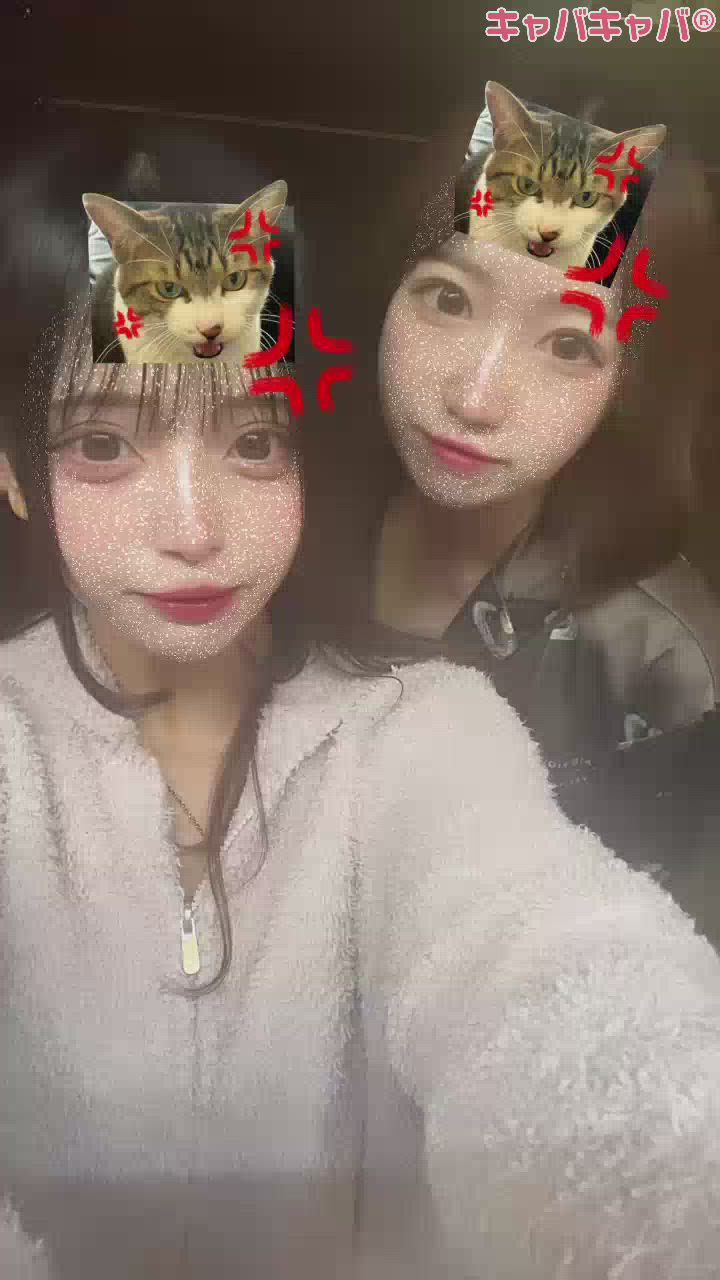 まるいからゼロカロリー