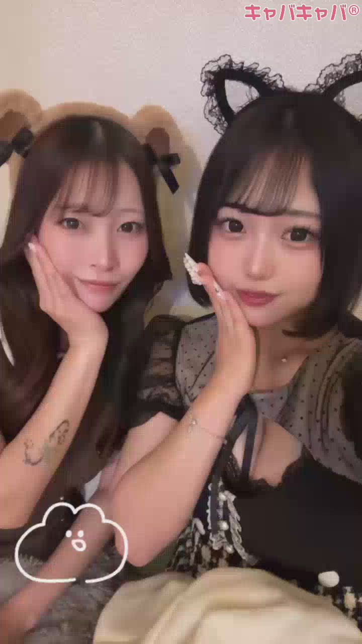 一条 葵