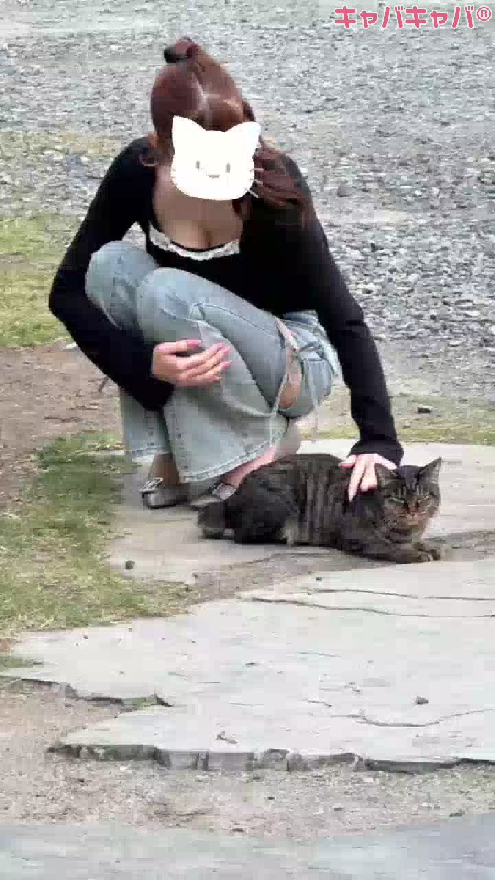 BRILLAR日記1627418