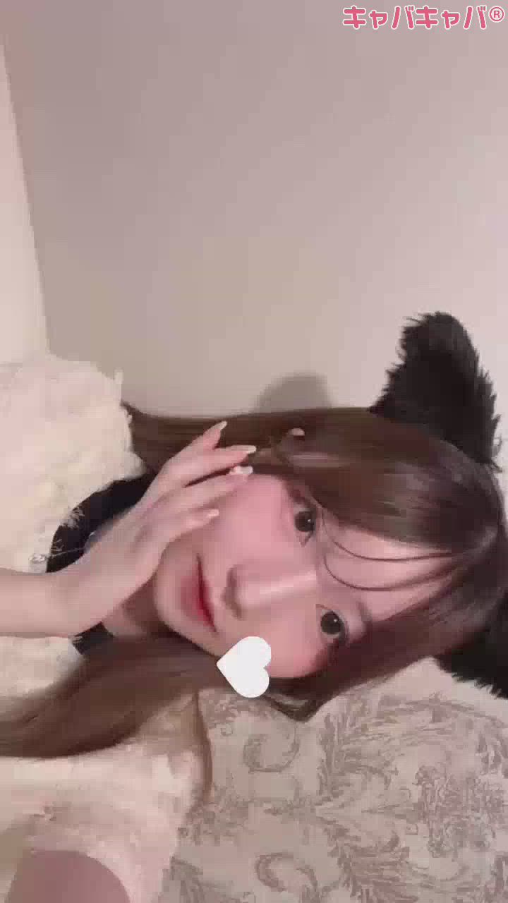 コンセプトカフェ あにまる宮殿日記1424573