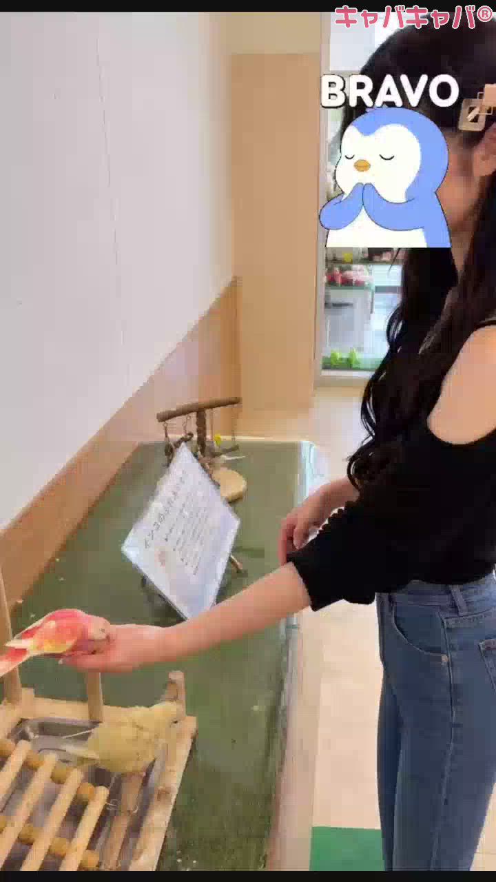 クラブ プラチナ 松本日記1624763