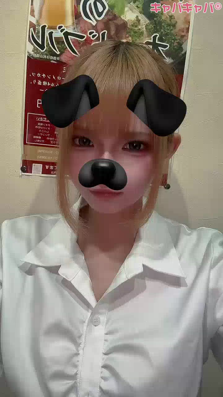 一条 葵
