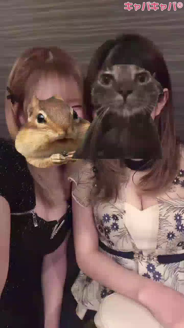 CLUB Reve日記1546538