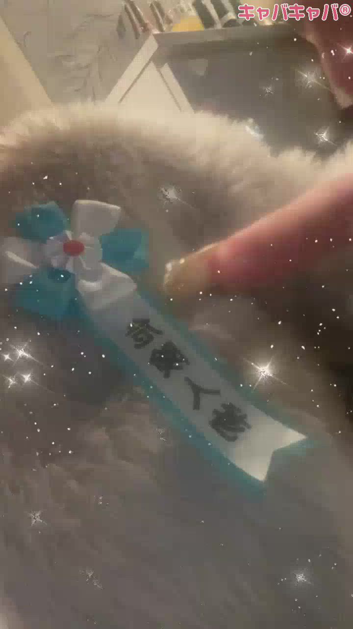 賞もらったよ💙