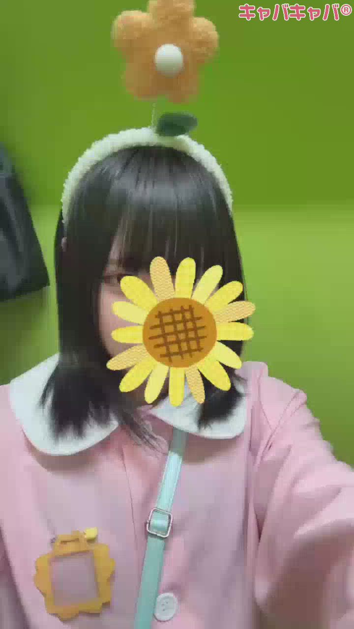 今日も！いる！！！