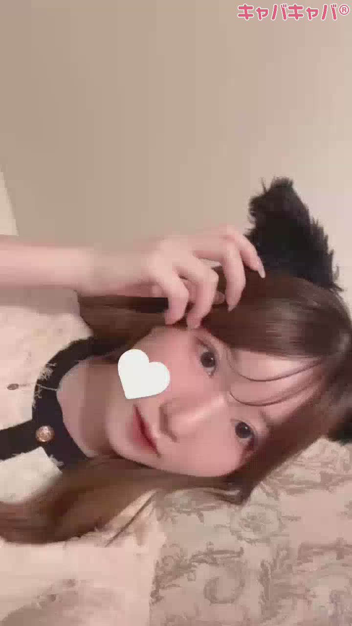 コンセプトカフェ あにまる宮殿日記1427487