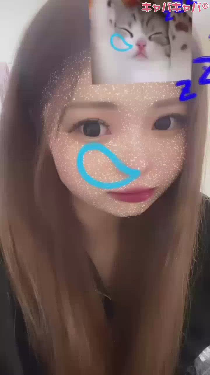 animal day1 🐾♥️