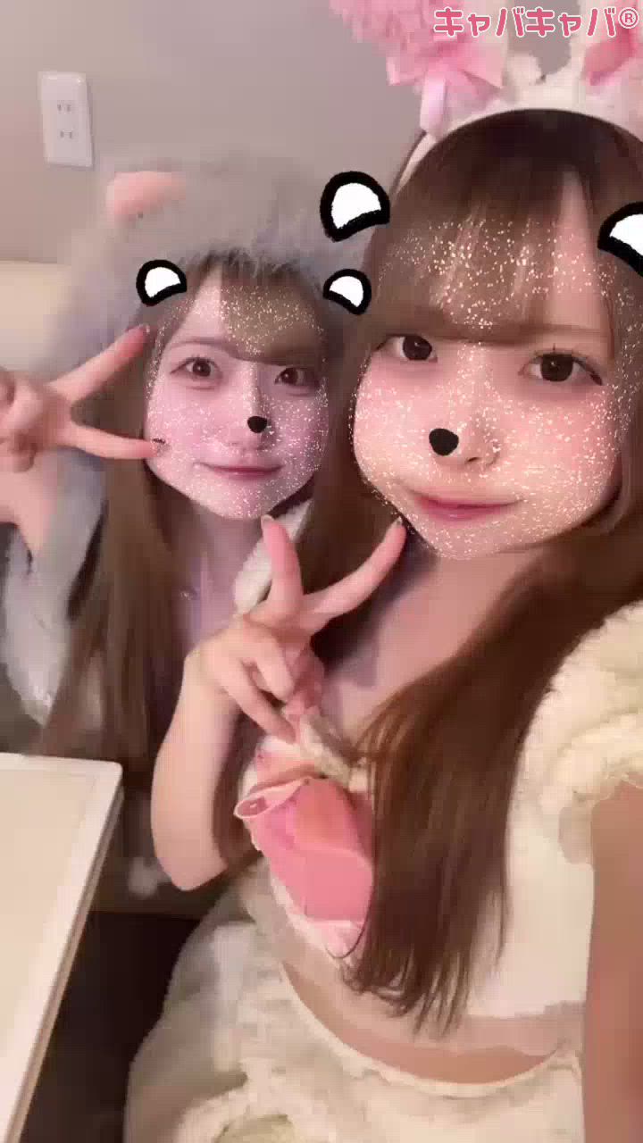 コンセプトカフェ あにまる宮殿日記1517095