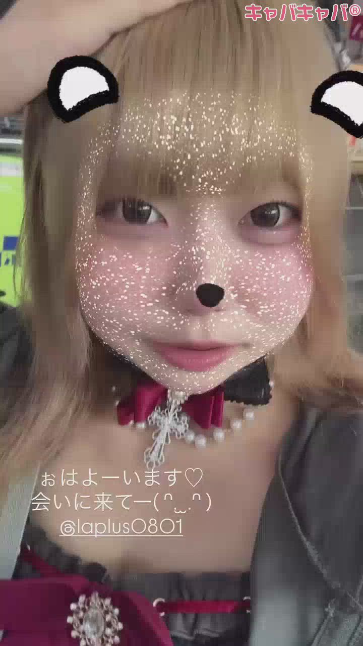一条 葵