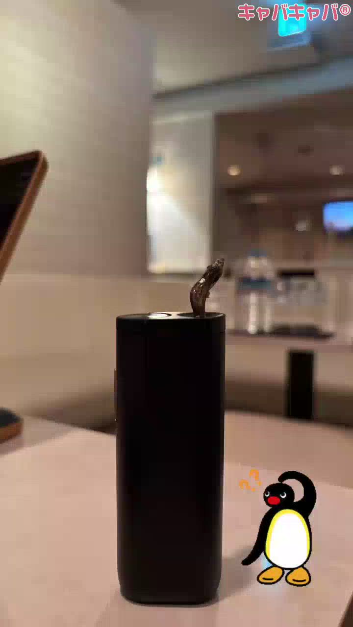 CLUB MIMOSA日記1585186